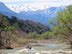 お待ちかねのグリーンシーズンが間もなくOPEN